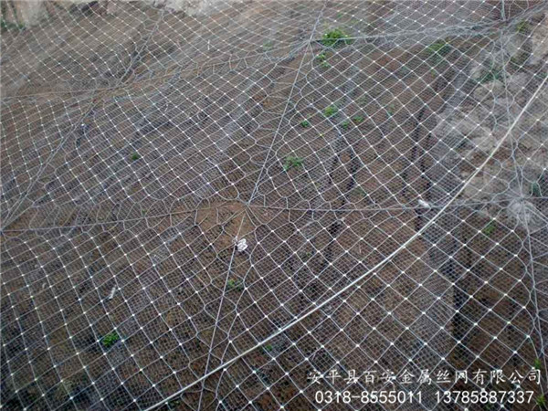 ���o(h��)�W(w��ng)_���P��K�W(w��ng)